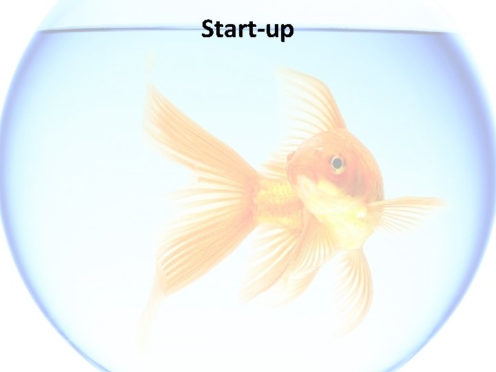 Start-up 