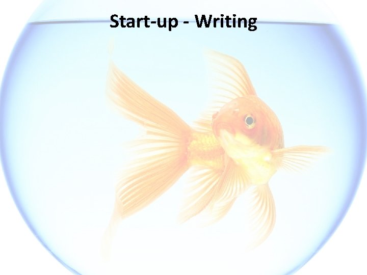 Start-up - Writing 