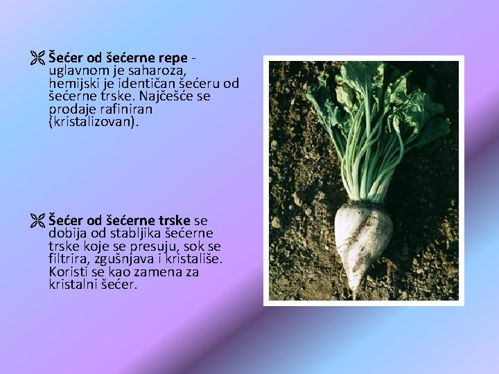 Ë Šećer od šećerne repe - uglavnom je saharoza, hemijski je identičan šećeru od Ë Šećer od šećerne repe - uglavnom je saharoza, hemijski je identičan šećeru od