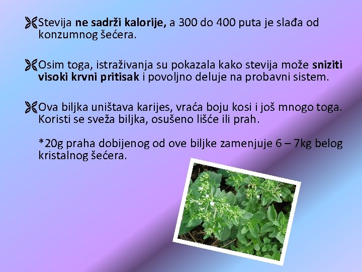 Ë Stevija ne sadrži kalorije, a 300 do 400 puta je slađa od konzumnog Ë Stevija ne sadrži kalorije, a 300 do 400 puta je slađa od konzumnog