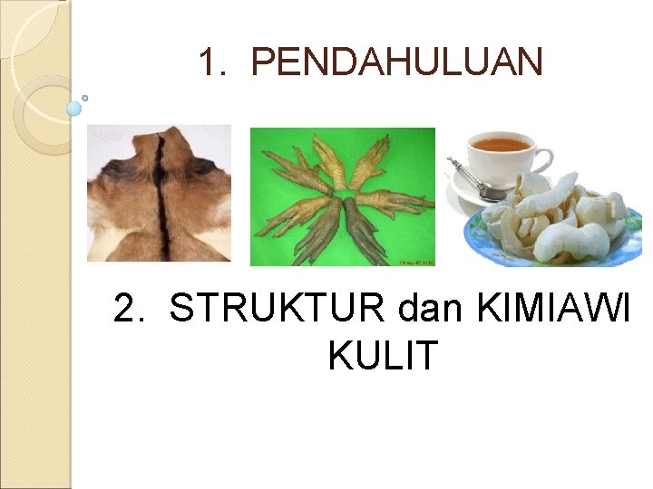 1. PENDAHULUAN 2. STRUKTUR dan KIMIAWI KULIT 