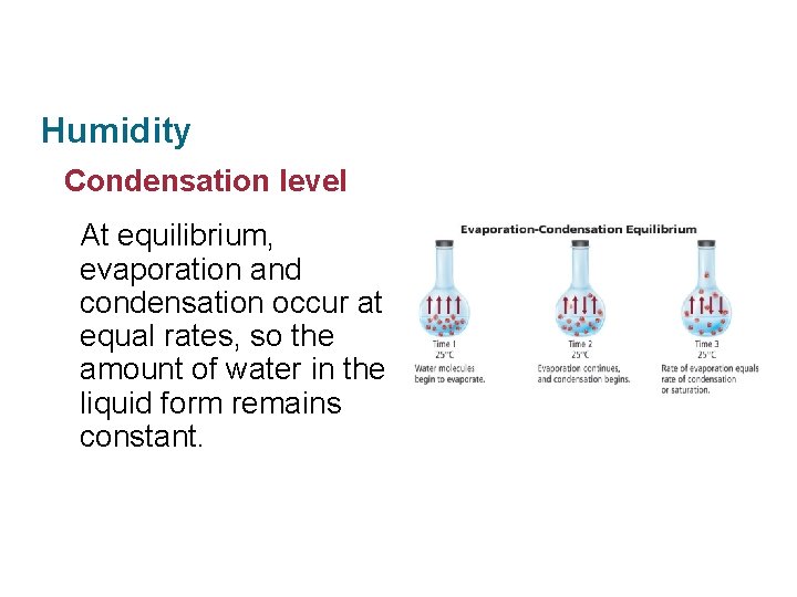 Section 11. 2 Properties of the Atmosphere Humidity Condensation level At equilibrium, evaporation and