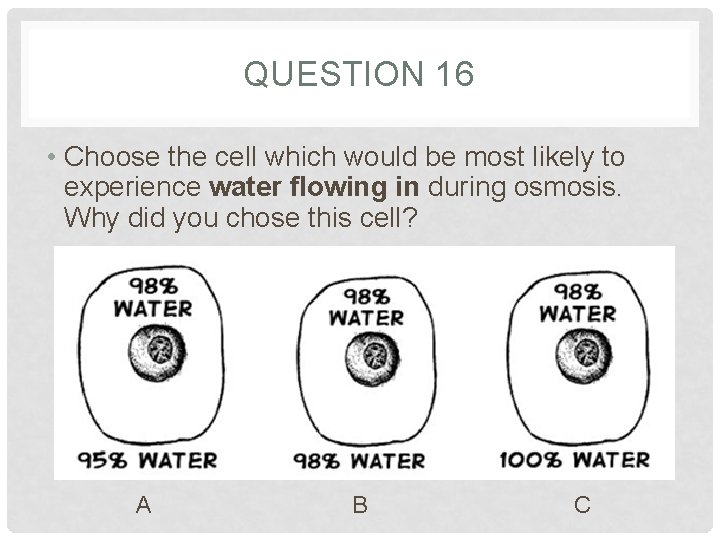QUESTION 16 • Choose the cell which would be most likely to experience water QUESTION 16 • Choose the cell which would be most likely to experience water