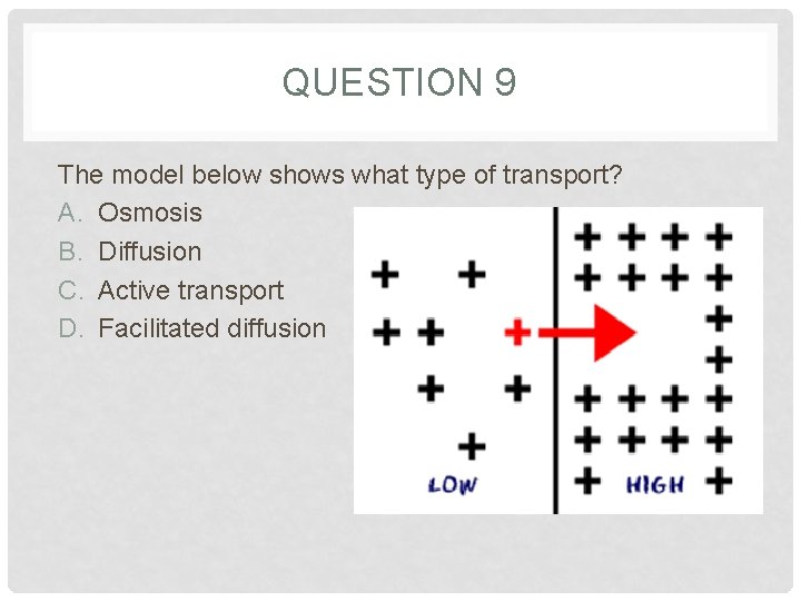 QUESTION 9 The model below shows what type of transport? A. Osmosis B. Diffusion QUESTION 9 The model below shows what type of transport? A. Osmosis B. Diffusion