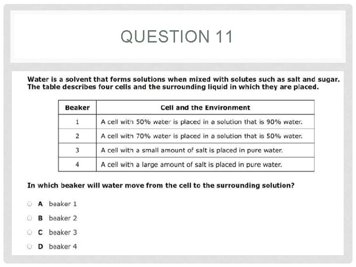 QUESTION 11 QUESTION 11