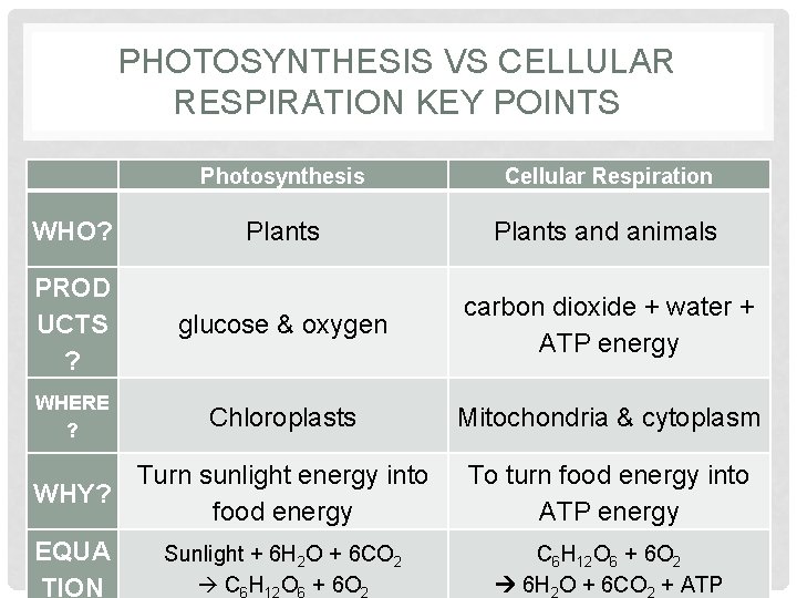 PHOTOSYNTHESIS VS CELLULAR RESPIRATION KEY POINTS Photosynthesis Cellular Respiration WHO? Plants and animals PROD PHOTOSYNTHESIS VS CELLULAR RESPIRATION KEY POINTS Photosynthesis Cellular Respiration WHO? Plants and animals PROD
