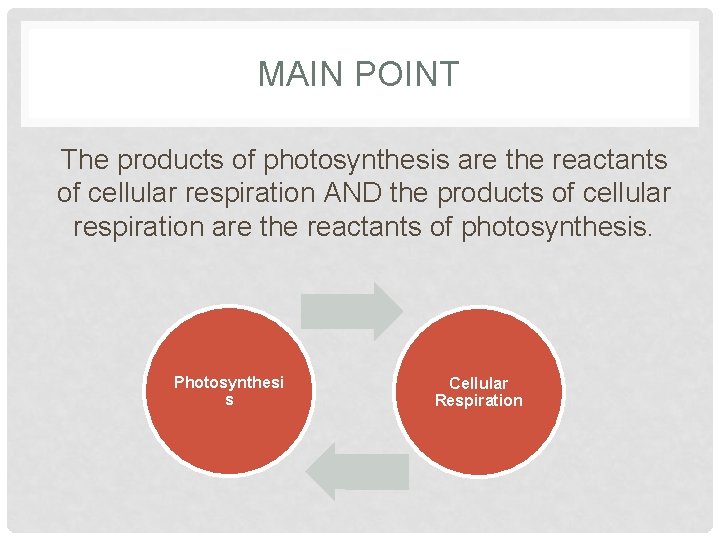 MAIN POINT The products of photosynthesis are the reactants of cellular respiration AND the MAIN POINT The products of photosynthesis are the reactants of cellular respiration AND the