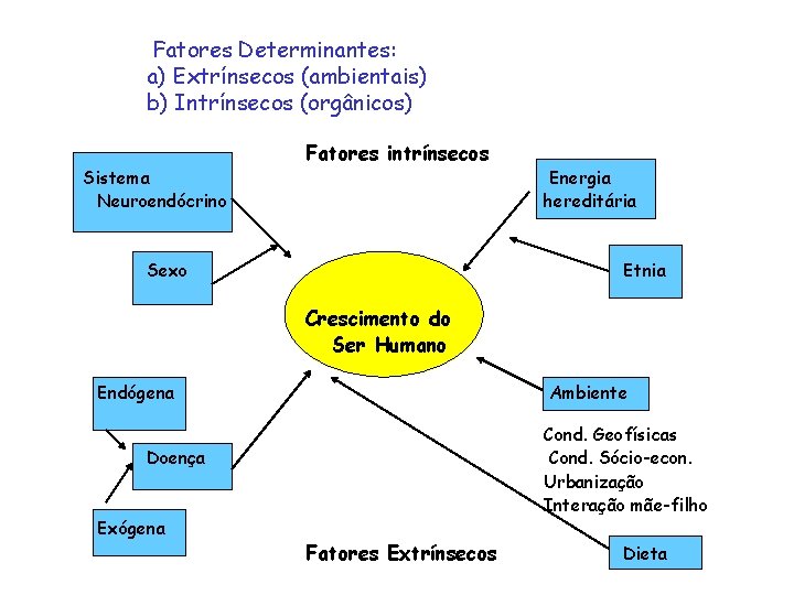 Fatores Determinantes: a) Extrínsecos (ambientais) b) Intrínsecos (orgânicos) Sistema Neuroendócrino Fatores intrínsecos Sexo Energia