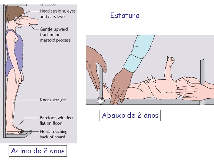 Estatura Abaixo de 2 anos Acima de 2 anos 