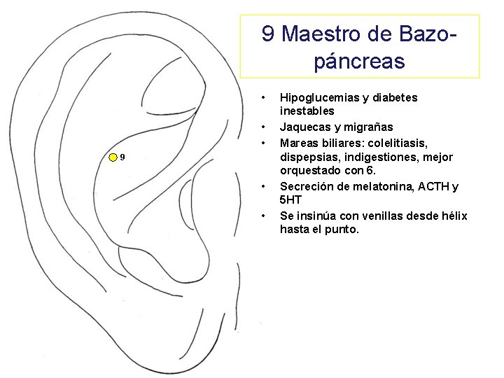 9 Maestro de Bazopáncreas • • • 9 • • Hipoglucemias y diabetes inestables