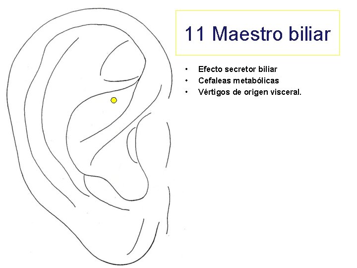 11 Maestro biliar • • • Efecto secretor biliar Cefaleas metabólicas Vértigos de origen