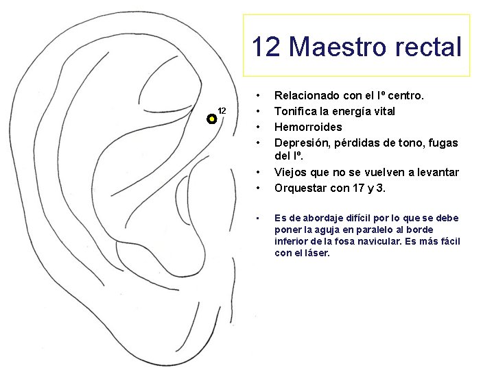12 Maestro rectal 12 • • Relacionado con el Iº centro. Tonifica la energía