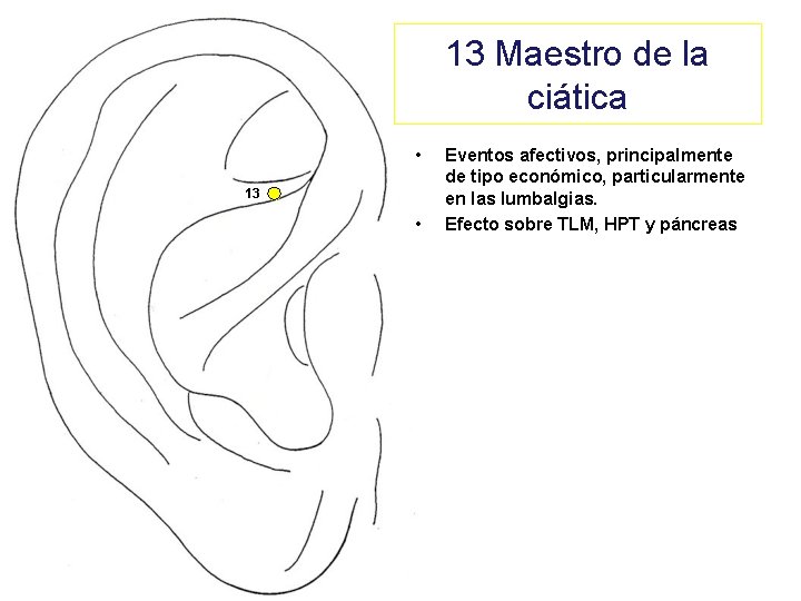 13 Maestro de la ciática • 13 • Eventos afectivos, principalmente de tipo económico,