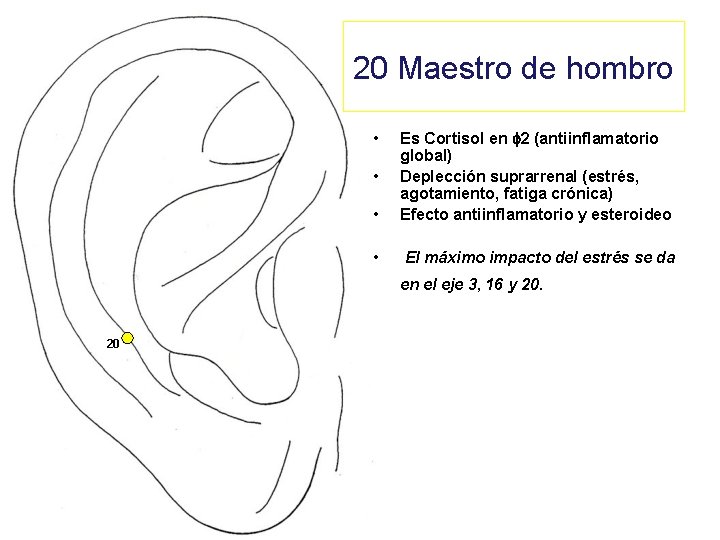 20 Maestro de hombro • Es Cortisol en f 2 (antiinflamatorio global) Deplección suprarrenal
