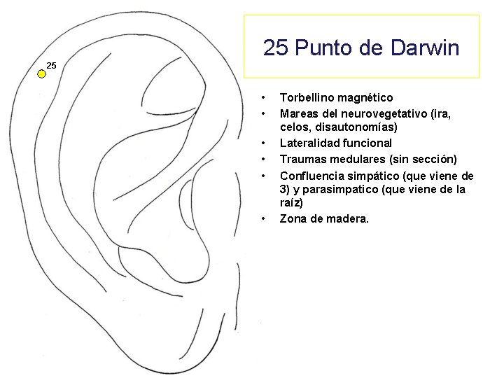 25 Punto de Darwin 25 • • • Torbellino magnético Mareas del neurovegetativo (ira,