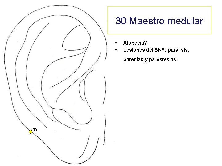 30 Maestro medular • • Alopecia? Lesiones del SNP: parálisis, paresias y parestesias 30