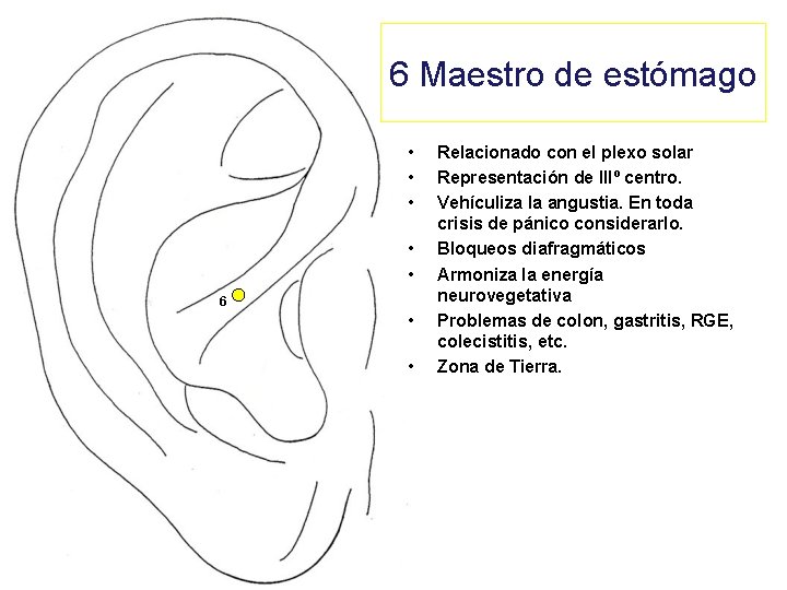 6 Maestro de estómago • • • 6 • • Relacionado con el plexo