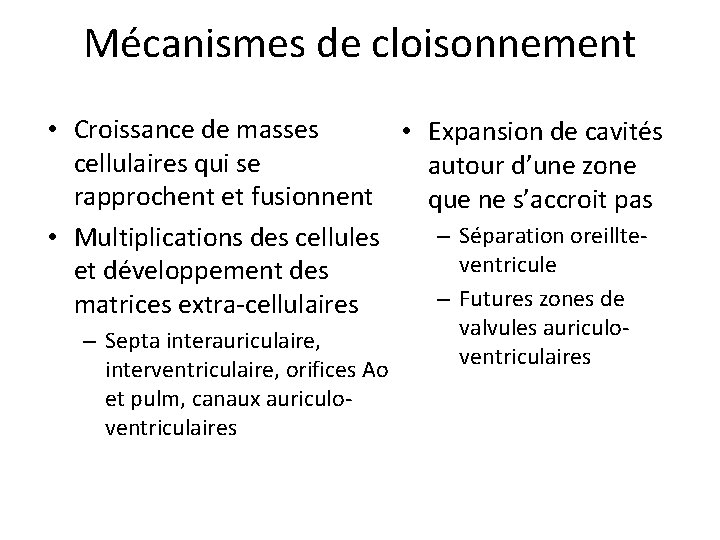 Mécanismes de cloisonnement • Croissance de masses • Expansion de cavités cellulaires qui se