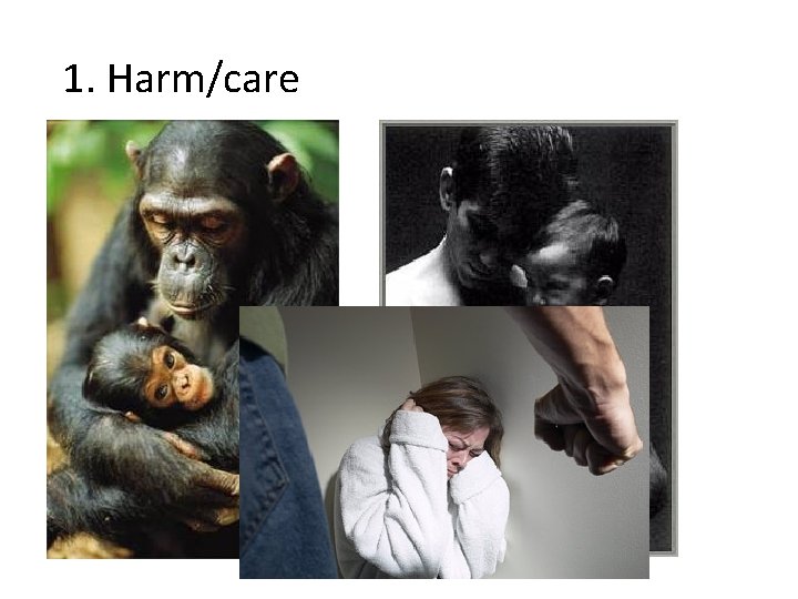 1. Harm/care 