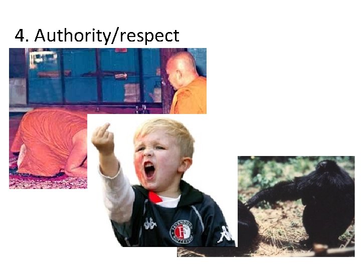 4. Authority/respect 