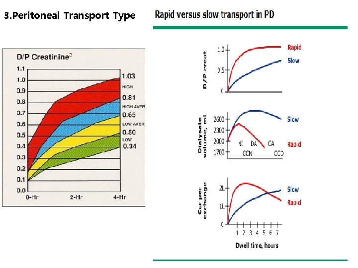 3. Peritoneal Transport Type 