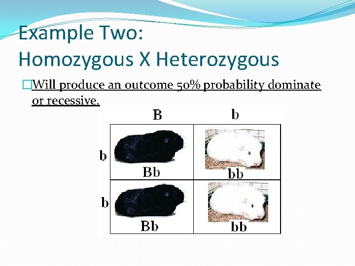 Example Two: Homozygous X Heterozygous �Will produce an outcome 50% probability dominate or recessive.