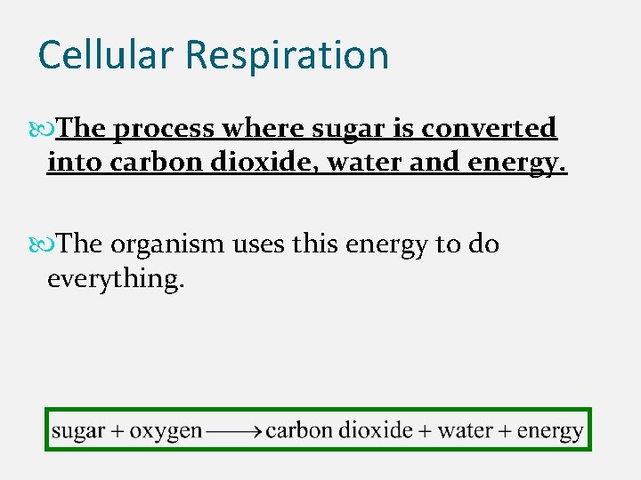 Cellular Respiration The process where sugar is converted into carbon dioxide, water and energy.