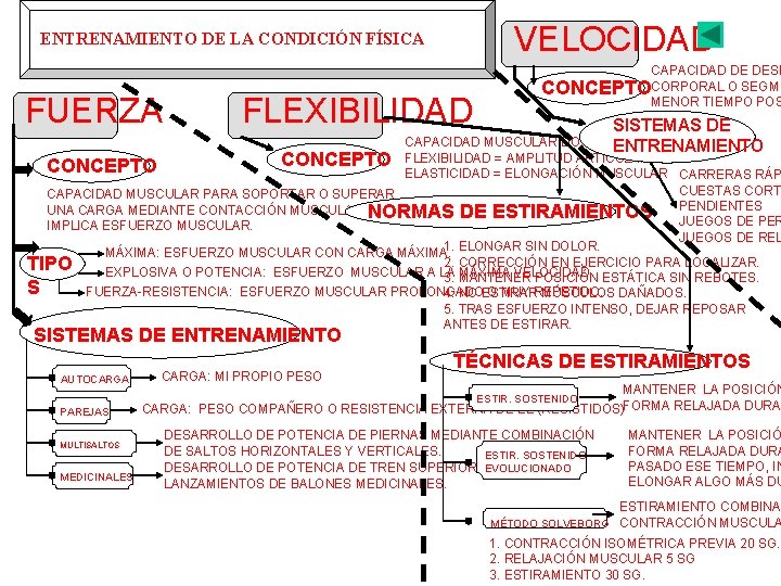 VELOCIDAD ENTRENAMIENTO DE LA CONDICIÓN FÍSICA FUERZA FLEXIBILIDAD CAPACIDAD DE DESP CONCEPTOCORPORAL O SEGME