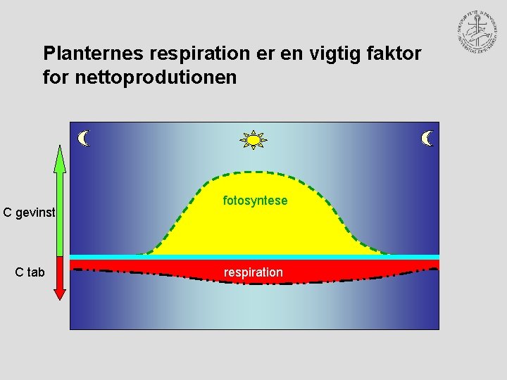 Planternes respiration er en vigtig faktor for nettoprodutionen C gevinst C tab fotosyntese respiration