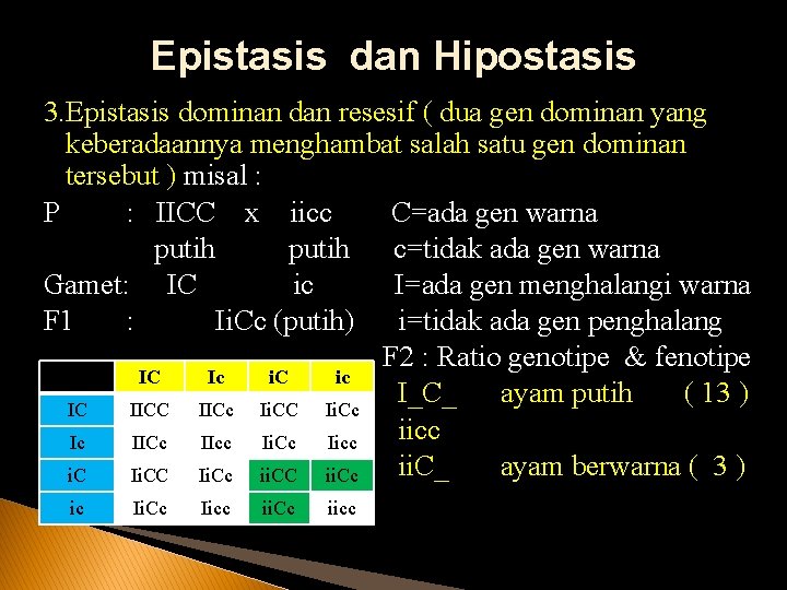 Epistasis dan Hipostasis 3. Epistasis dominan dan resesif ( dua gen dominan yang keberadaannya