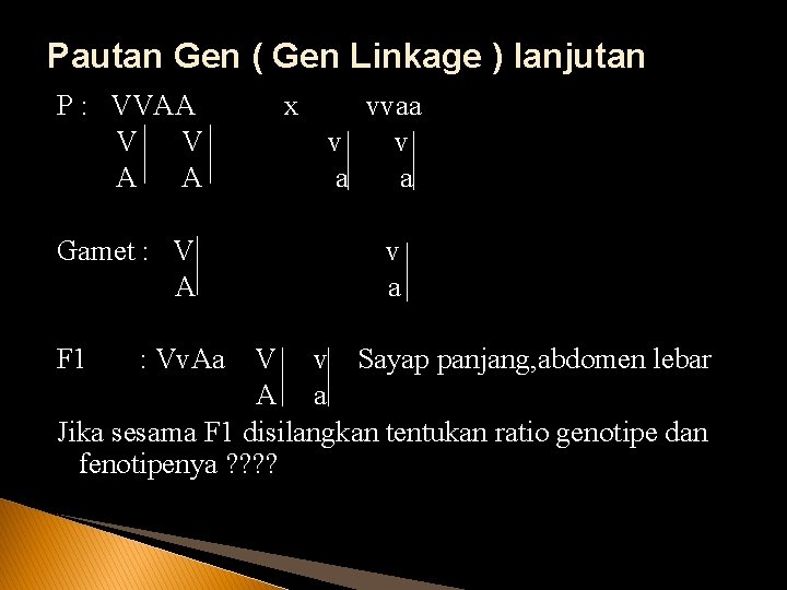 Pautan Gen ( Gen Linkage ) lanjutan P : VVAA V V A A