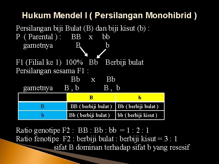 Hukum Mendel I ( Persilangan Monohibrid ) Persilangan biji Bulat (B) dan biji kisut
