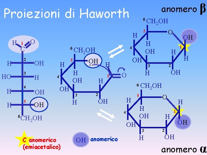 anomero β Proiezioni di Haworth H 1 C 2 H 3 HO 4 H
