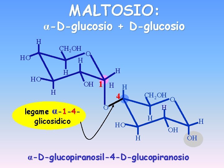 MALTOSIO: α-D-glucosio + D-glucosio H CH 2 OH HO H legame α-1 -4 glicosidico
