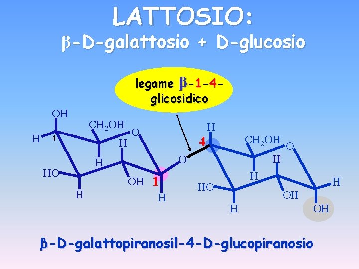 LATTOSIO: β-D-galattosio + D-glucosio legame β-1 -4 glicosidico OH H CH 2 OH 4