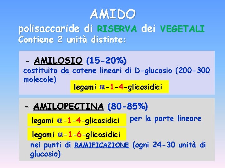 AMIDO polisaccaride di RISERVA dei VEGETALI Contiene 2 unità distinte: - AMILOSIO (15 -20%)