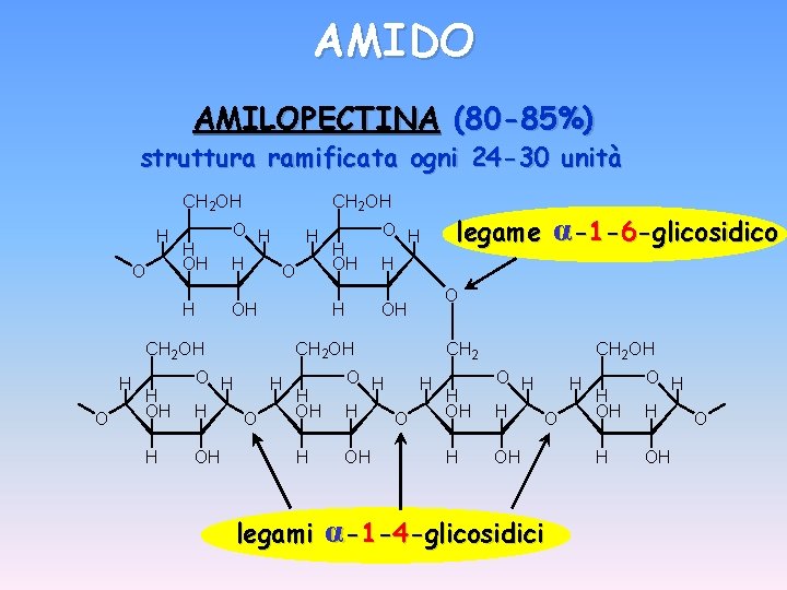 AMIDO AMILOPECTINA (80 -85%) struttura ramificata ogni 24 -30 unità CH 2 OH H