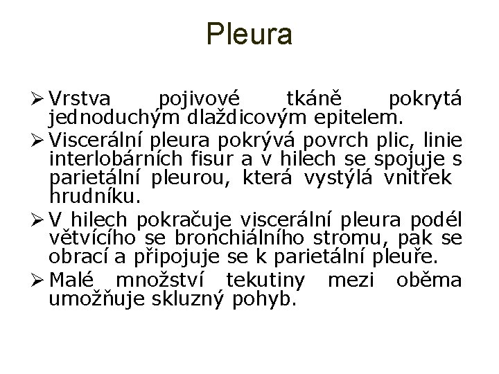 Pleura Ø Vrstva pojivové tkáně pokrytá jednoduchým dlaždicovým epitelem. Ø Viscerální pleura pokrývá povrch