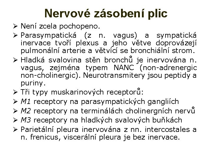 Nervové zásobení plic Ø Není zcela pochopeno. Ø Parasympatická (z n. vagus) a sympatická