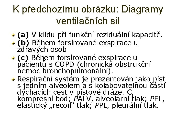 K předchozímu obrázku: Diagramy ventilačních sil (a) V klidu při funkční reziduální kapacitě. (b) K předchozímu obrázku: Diagramy ventilačních sil (a) V klidu při funkční reziduální kapacitě. (b)