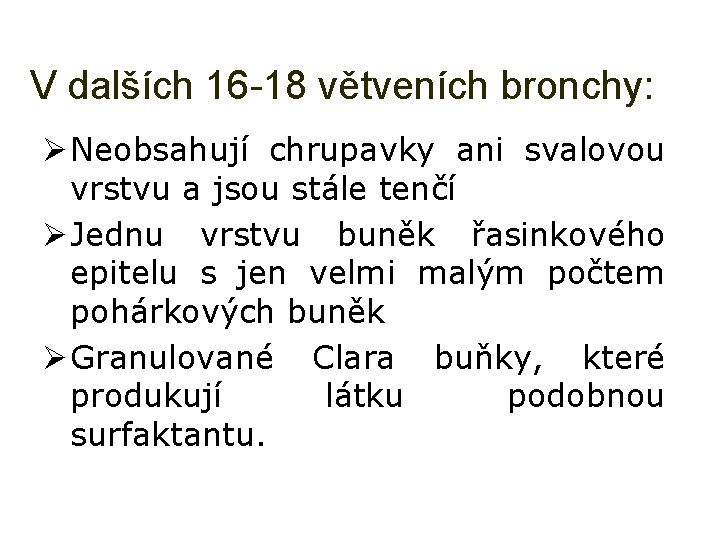 V dalších 16 -18 větveních bronchy: Ø Neobsahují chrupavky ani svalovou vrstvu a jsou