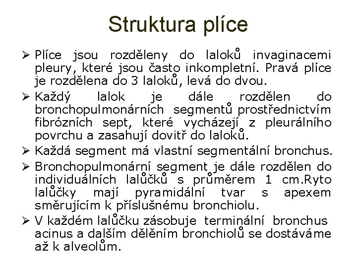 Struktura plíce Ø Plíce jsou rozděleny do laloků invaginacemi pleury, které jsou často inkompletní.