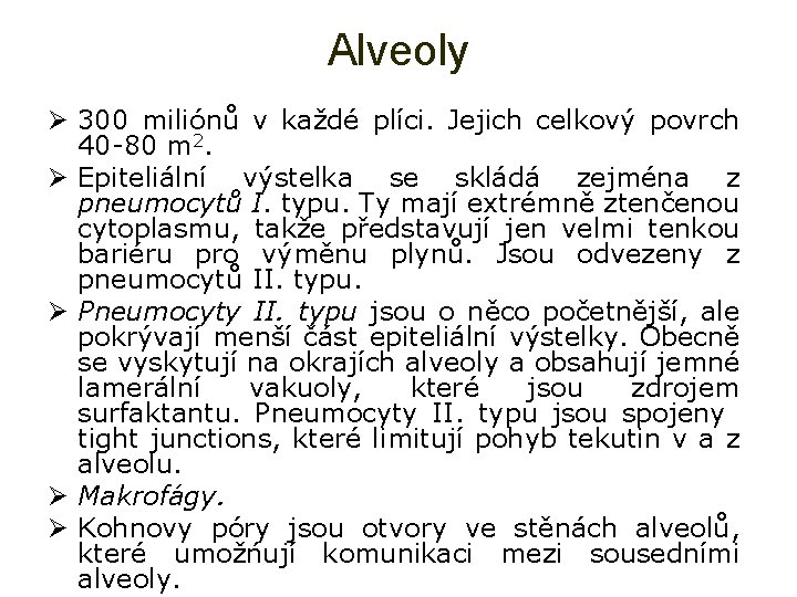 Alveoly Ø 300 miliónů v každé plíci. Jejich celkový povrch 40 -80 m 2.