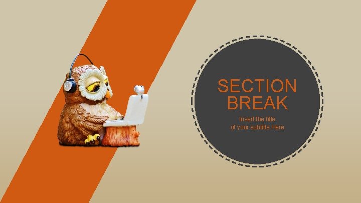 SECTION BREAK Insert the title of your subtitle Here 