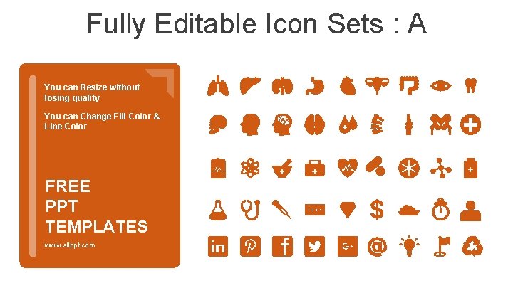 Fully Editable Icon Sets : A You can Resize without losing quality You can