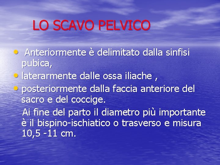 LO SCAVO PELVICO • Anteriormente è delimitato dalla sinfisi pubica, • laterarmente dalle ossa