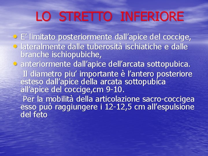 LO STRETTO INFERIORE • E’ limitato posteriormente dall’apice del coccige, • lateralmente dalle tuberosità