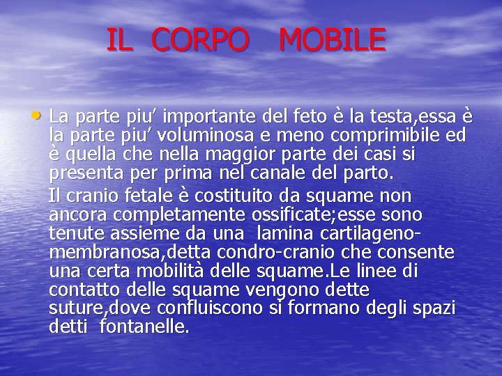 IL CORPO MOBILE • La parte piu’ importante del feto è la testa, essa