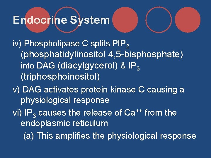 Endocrine System iv) Phospholipase C splits PIP 2 (phosphatidylinositol 4, 5 -bisphosphate) into DAG