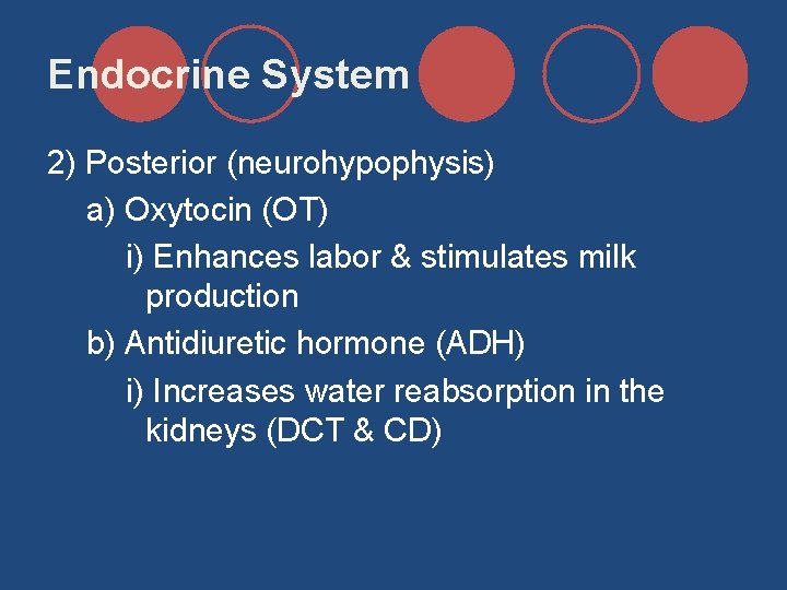 Endocrine System 2) Posterior (neurohypophysis) a) Oxytocin (OT) i) Enhances labor & stimulates milk